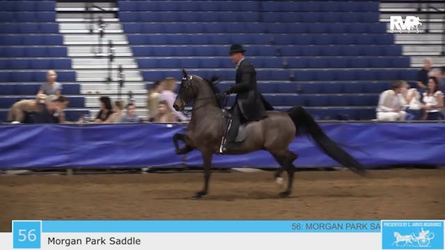 GASP23 - Class 56 - Morgan Park Saddle
