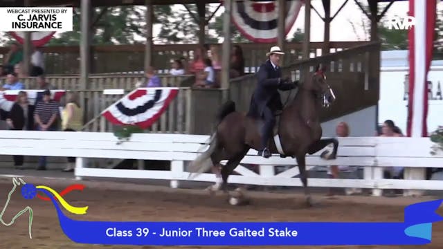 2015 SHS - Class 39 Junior Three Gait...