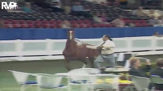 2003 WCHS Class 45 ASR Futurity Of Ke...