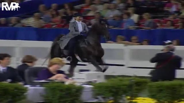 2004 World's Championship Horse Show ...