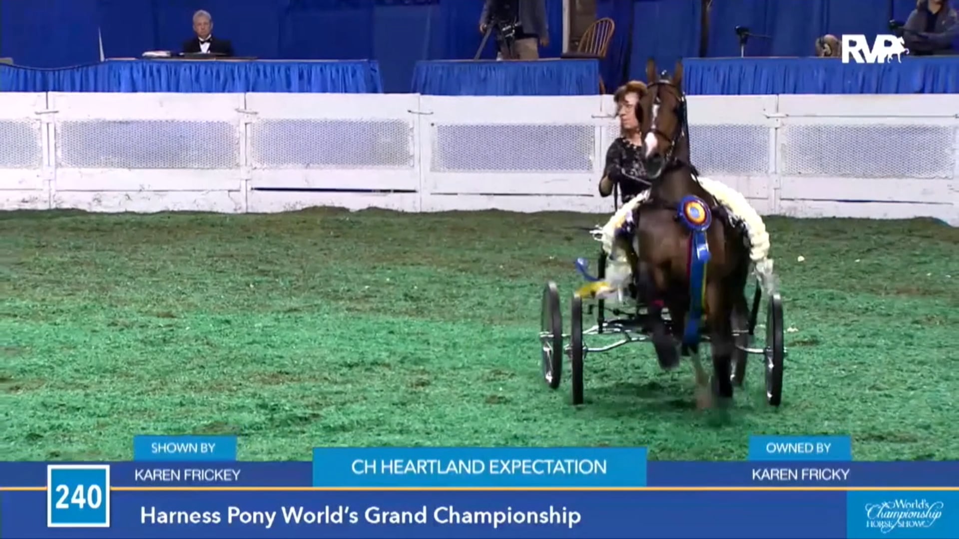 2016 Denessa and Randy Harper - AHHS Bill G. Robinson Trainers of the Year Award