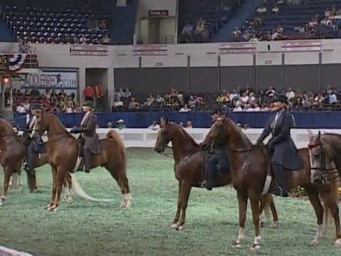 2008 WCHS Class 144 Ladies Five Gaite...