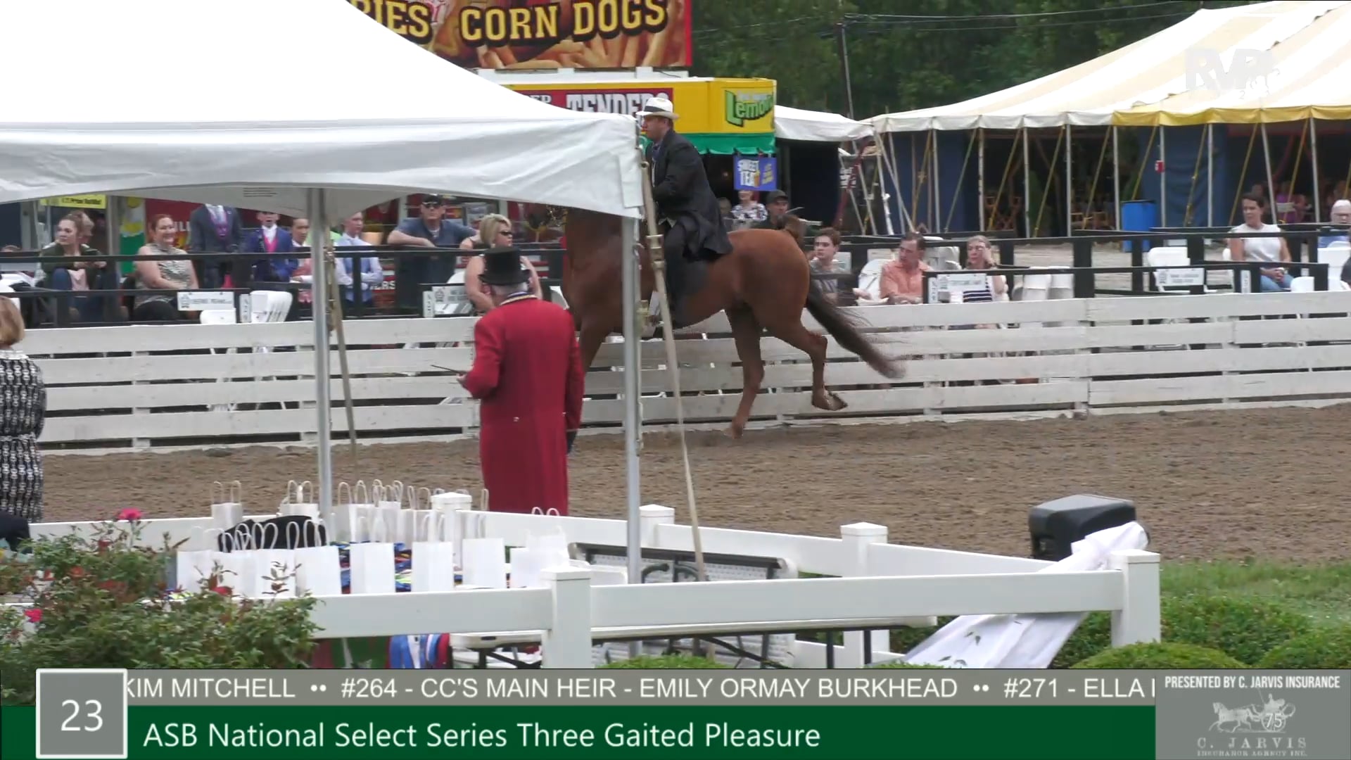 RC21 - Class 23 - ASHA National Select Series Three Gaited Show Pleasure