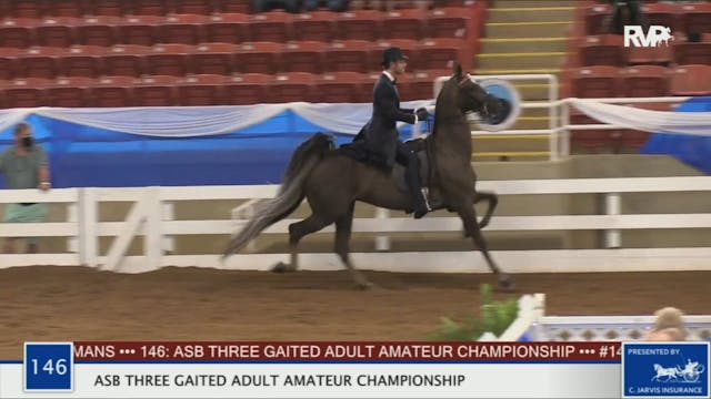 BR20 - Class 146 ASB Three Gaited Adu...