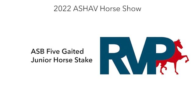 ASHAV22 - Class 83 - ASB Five Gaited ...