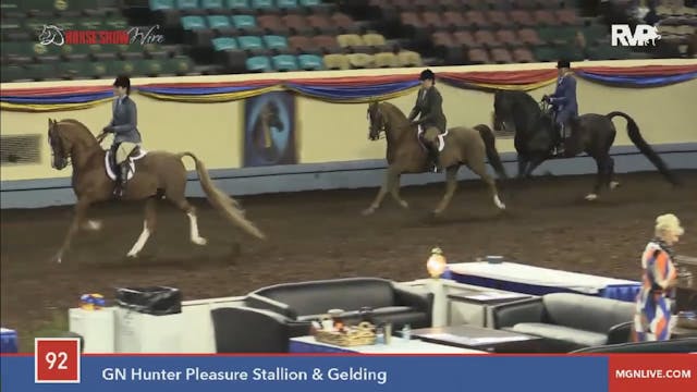 2015 MGN - Class 92 GN Hunter Pleasur...