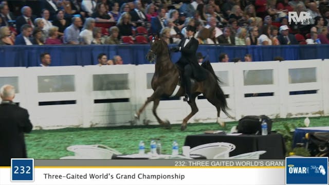 WCHS22 - Class 232 - Three Gaited Wor...