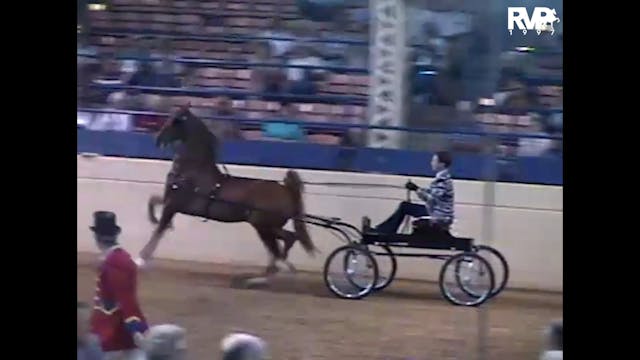 1997 Illinois State Fair - UPHA Fine ...