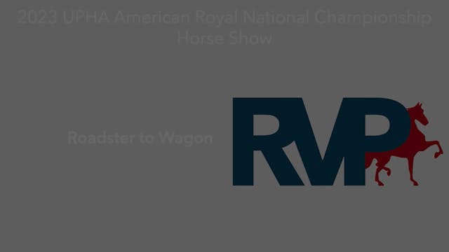 AR23 - Class 112 - Roadster to Wagon
