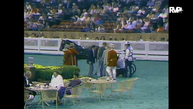 1988 WCHS Class 10 Kentucky County Fa...