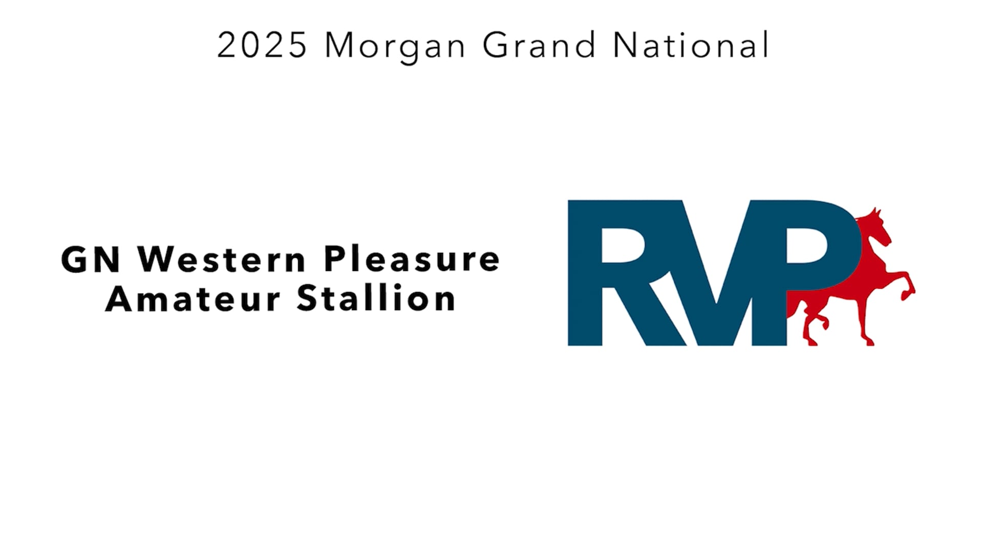 MGN25 - Class 377 - GN Western Pleasure Amateur Stallion