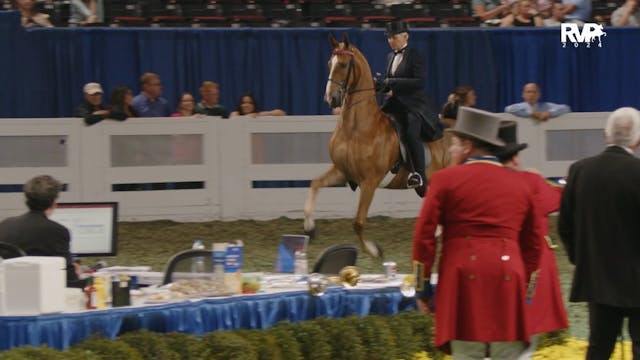 WCHS24 - Class 154 - Three Gaited 15....