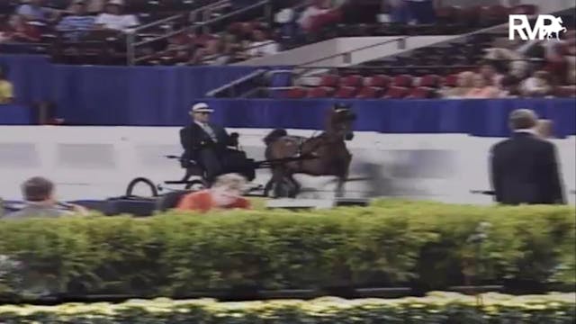 2007 WCHS Class 78 Four Year Old Hack...