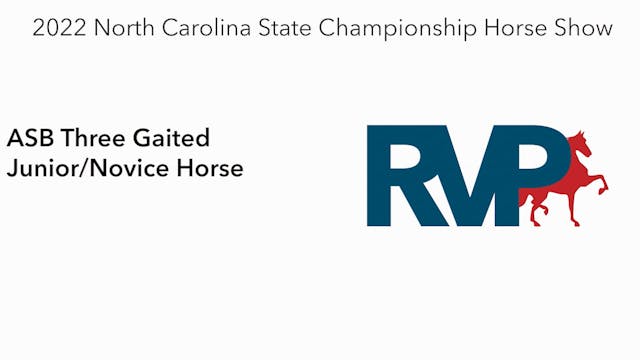 NCSC22 - Class 56 -  ASB Three Gaited...