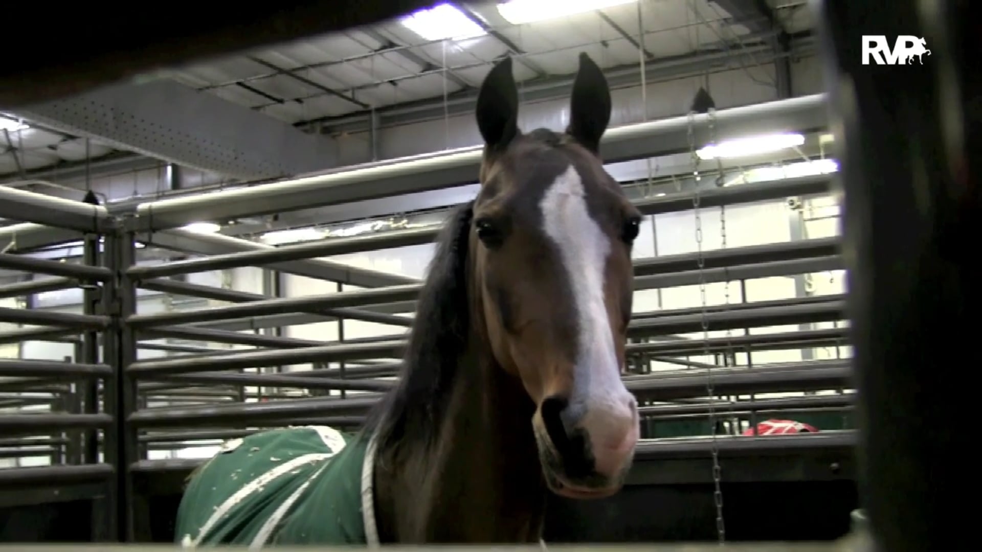 2019 Madison Classic - Thursday Morning