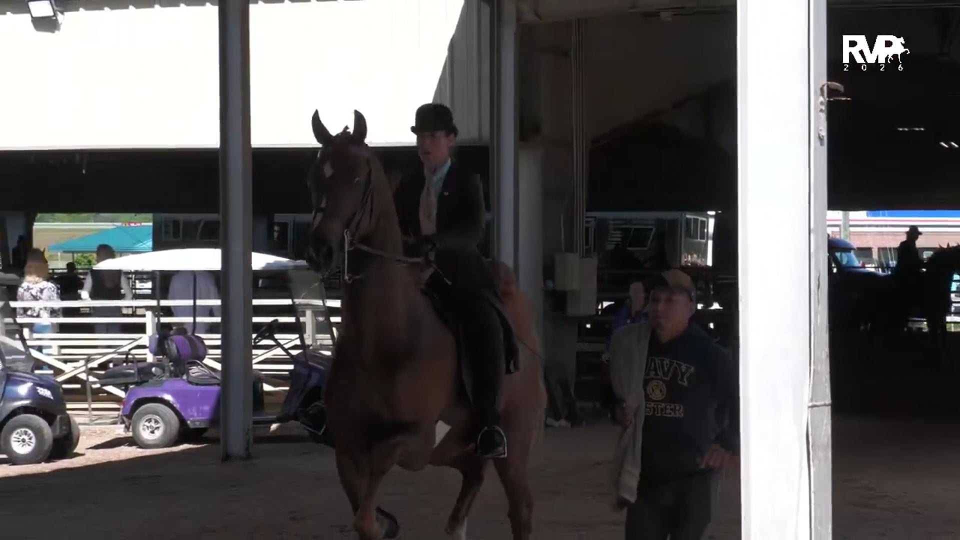 ASC26 - Class 81 - UPHA Three Year Old Park Pleasure Classic