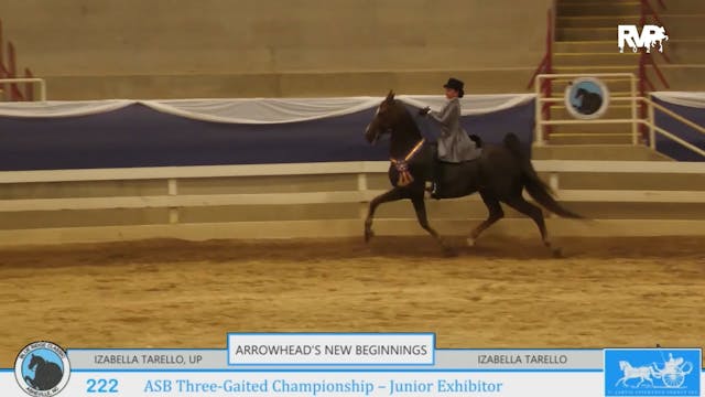 BR24 - Class 222 - ASB Three-Gaited C...