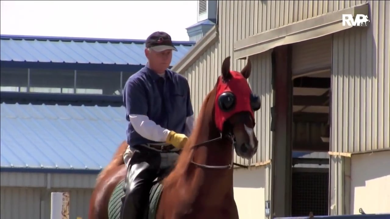 BB17 - Wednesday Evening