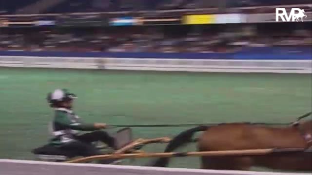 2007 WCHS Class 188 Junior Exhibitor ...
