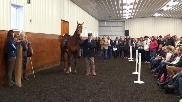 Show Ring Presentation
With Nelson Green