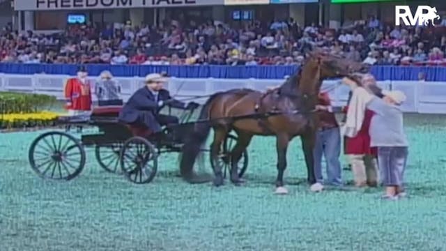 2009 World's Championship Horse Show ...