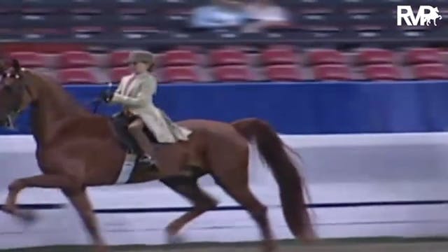 2009 World's Championship Horse Show ...