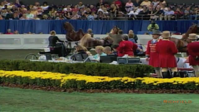 2002 WCHS Class 47 Ladies Fine Harness