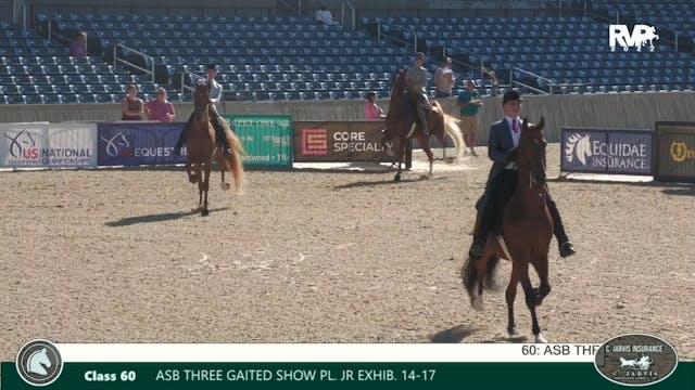 LJL22 - Class 60 - ASB Three Gaited S...