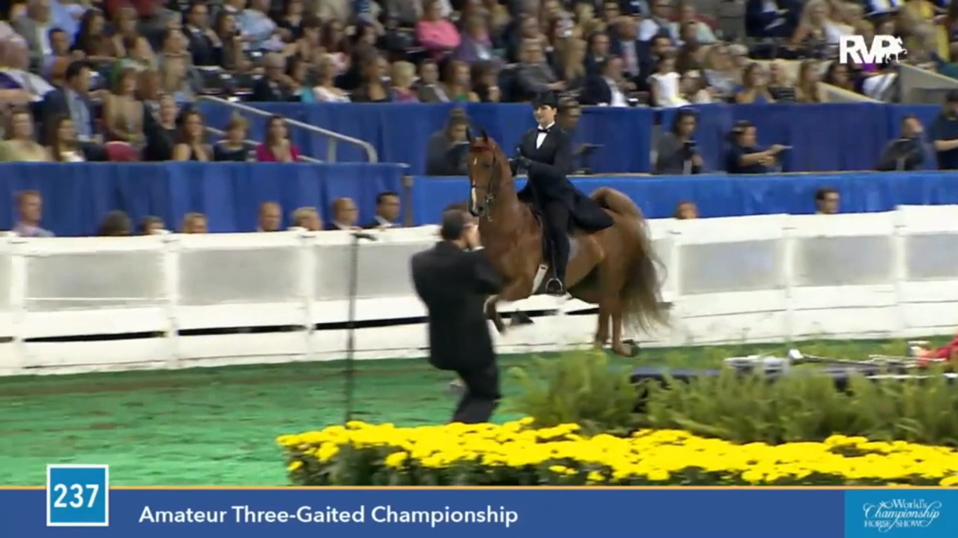2015 WCHS - Class 237 Amateur Three Gaited
Championship