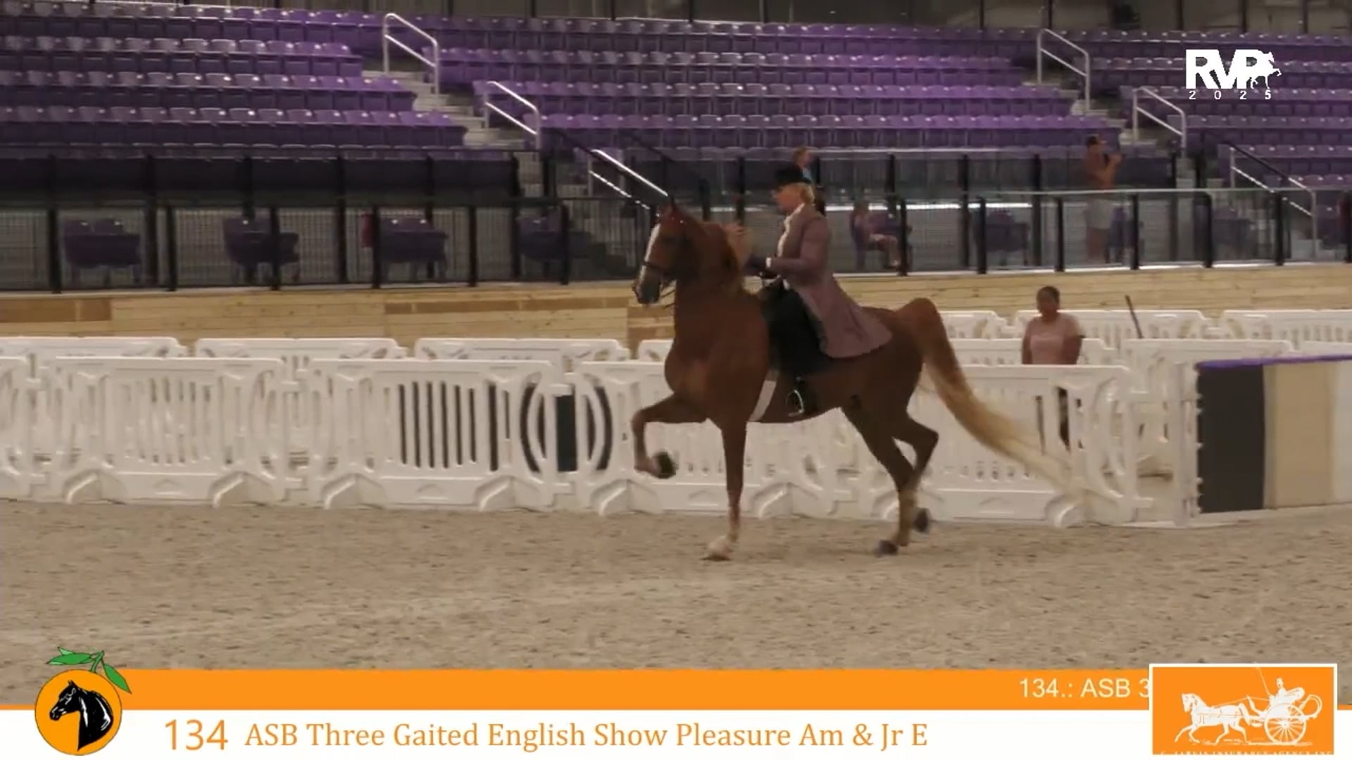 CC25 - Class 134 - ASB Three Gaited English Show Pleasure Amateur-Jr Exhibitor