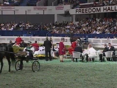 2008 WCHS Class 210 Amateur Road Hors...