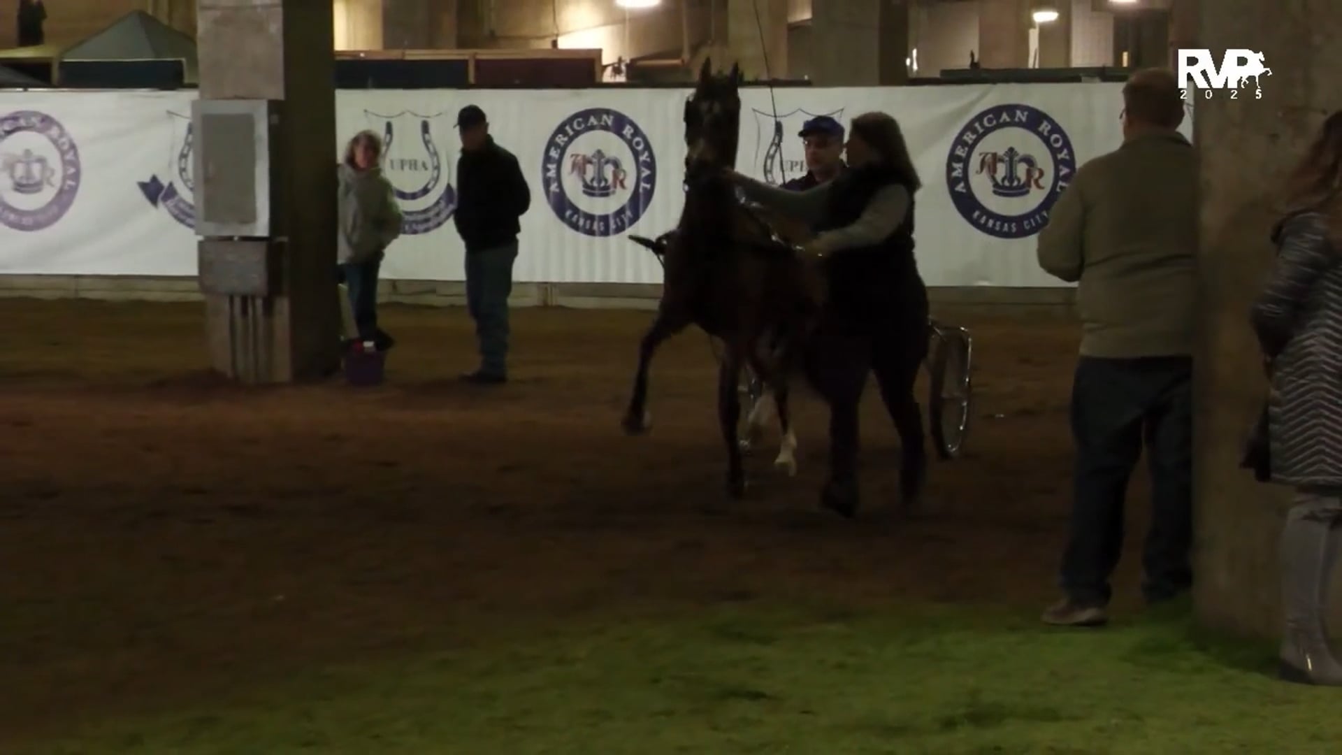 KC25 - Class 9 - Missouri-Kansas-Iowa Road Pony