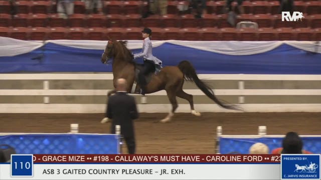 BR20 - Class 110 ASB Three Gaited Cou...