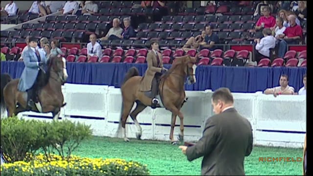 2010 WCHS - Class 17 - Three Gaited S...