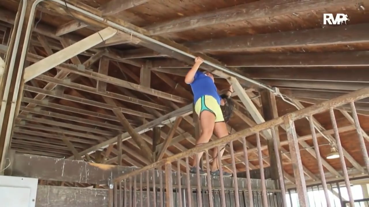 2015 World's Championship Horse Show - Wednesday Morning