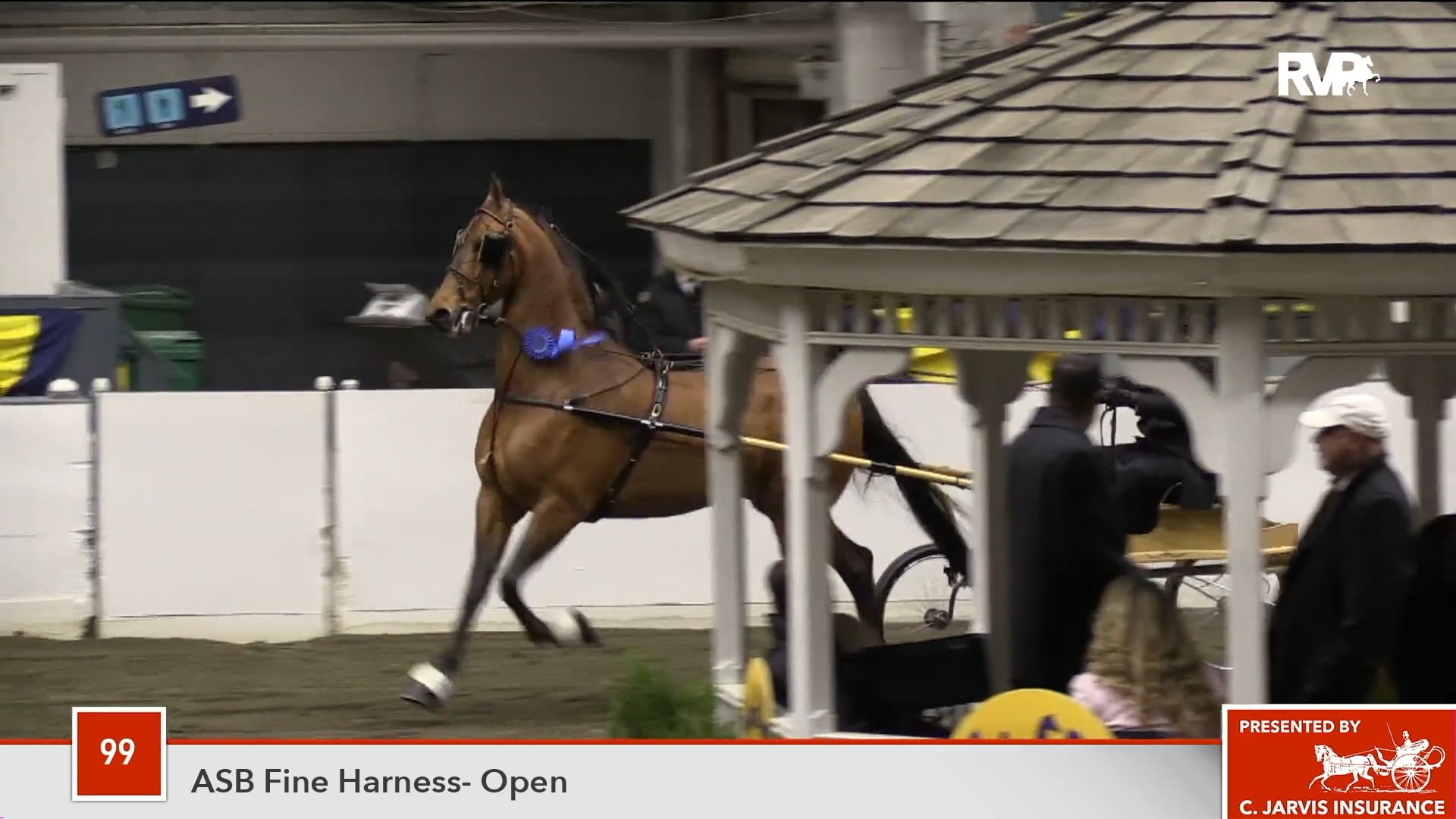 UPHA14-18 Class 99 My Best Asset