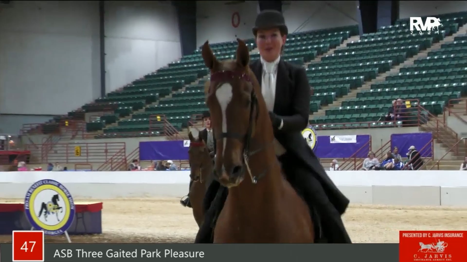 PA21 - Class 47 ASB Three Gaited Park Pleasure