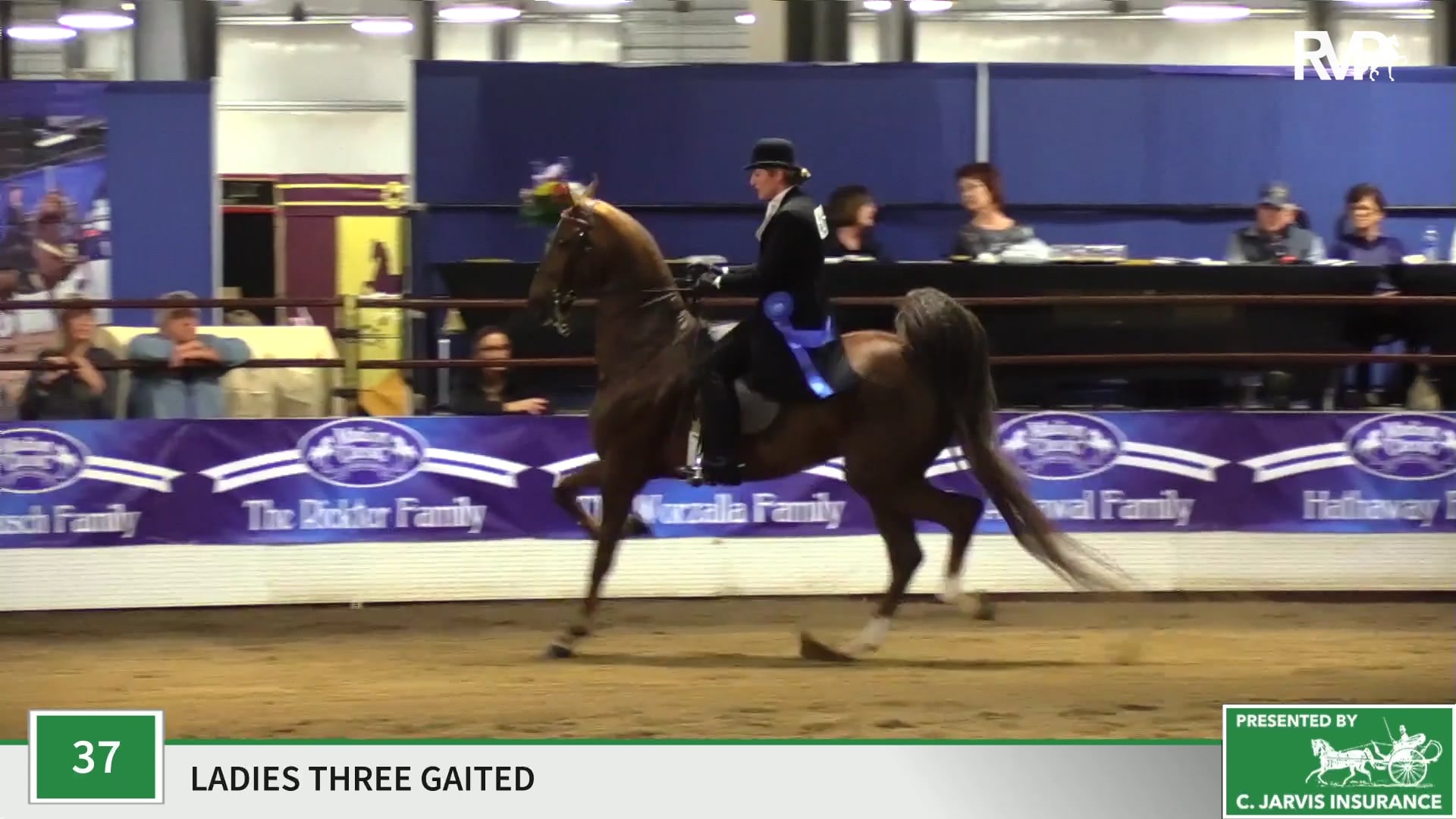 MC19 - Class 37 - Undulata's Simbara