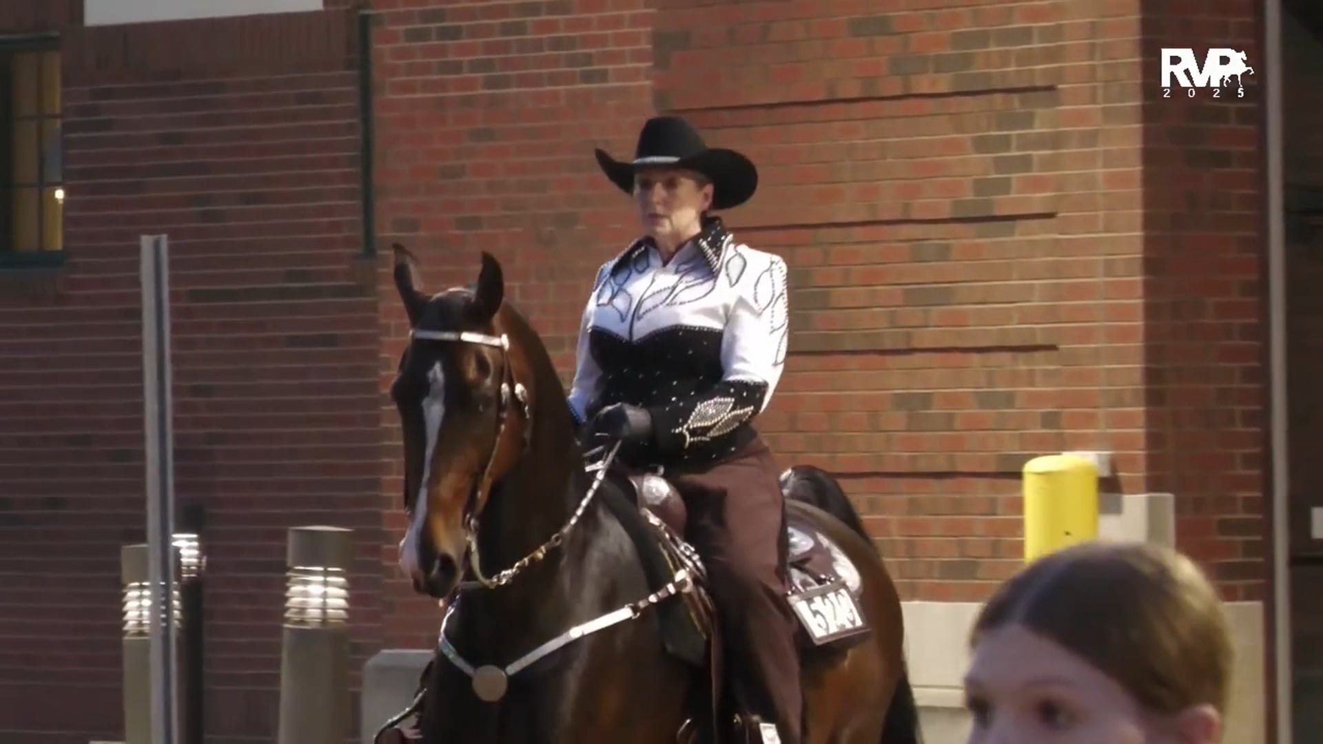 MW25 - Class 134 - ASB Country Pleasure Saddle & Bridle Shatner Western Pleasure