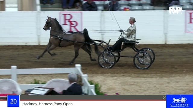 RR22 - Class 20 -  Hackney Harness Po...