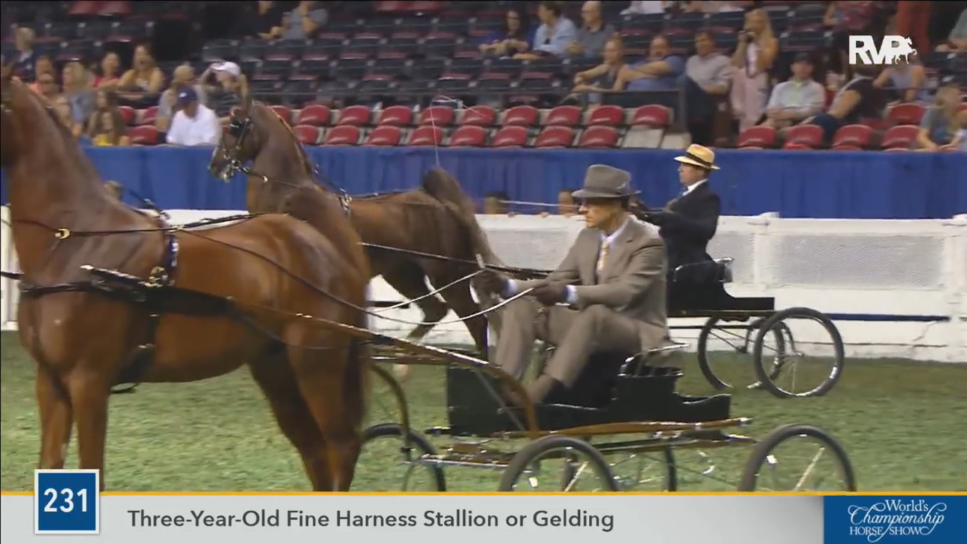 2016 WCHS - Class 231 Three Year Old Fine Harness
Stallion or Gelding