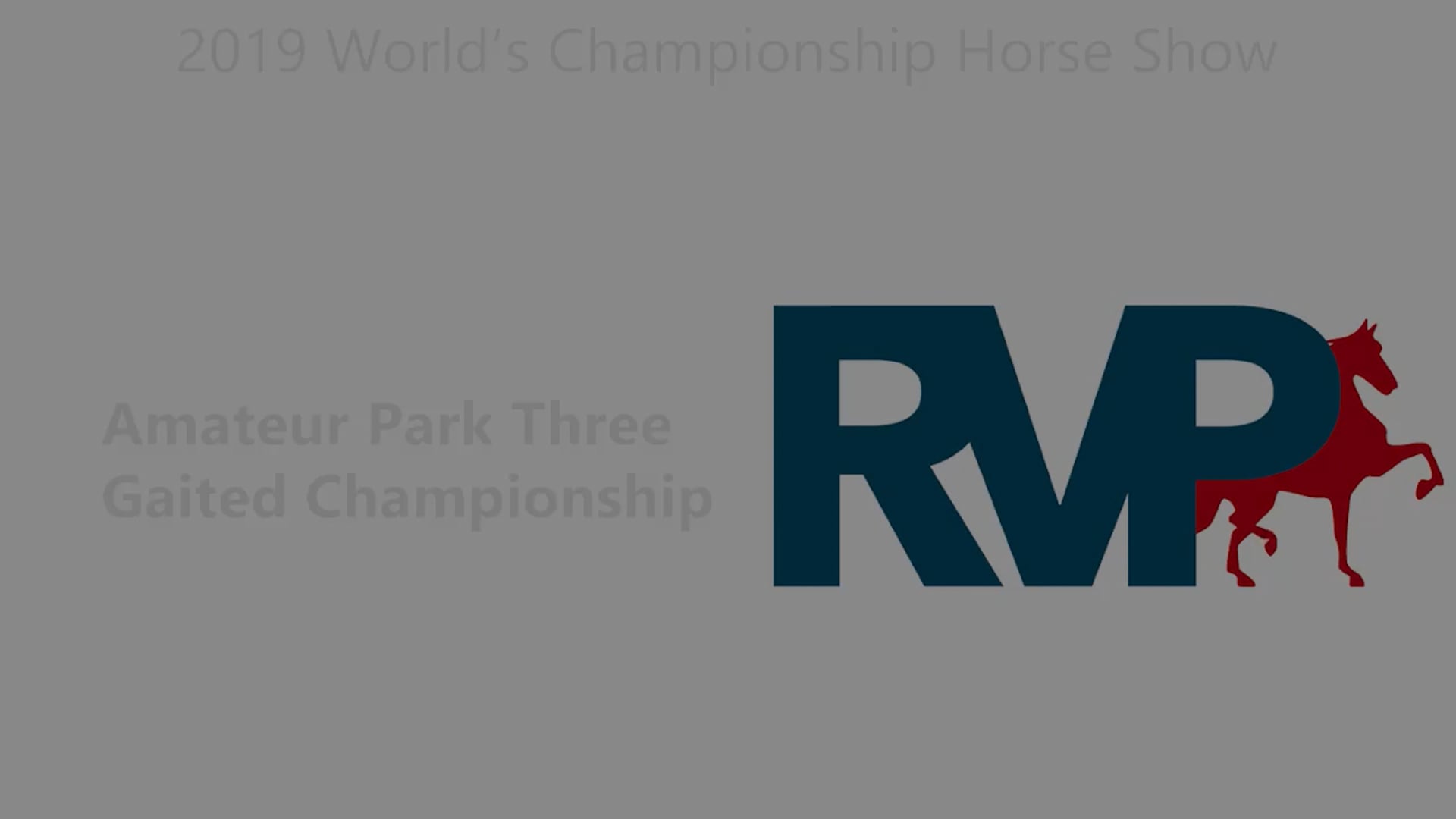 WCHS19 - Class 206 - Amateur Park Three Gaited Championship
