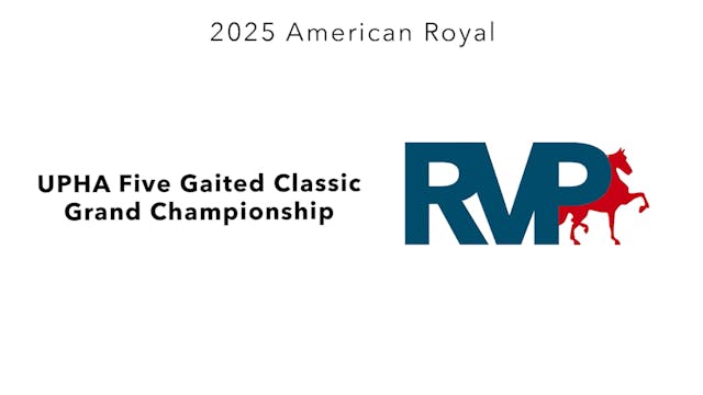 KC25 - Class 130 - UPHA Five Gaited C...