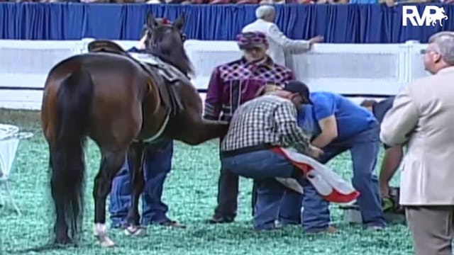 2009 World's Championship Horse Show ...