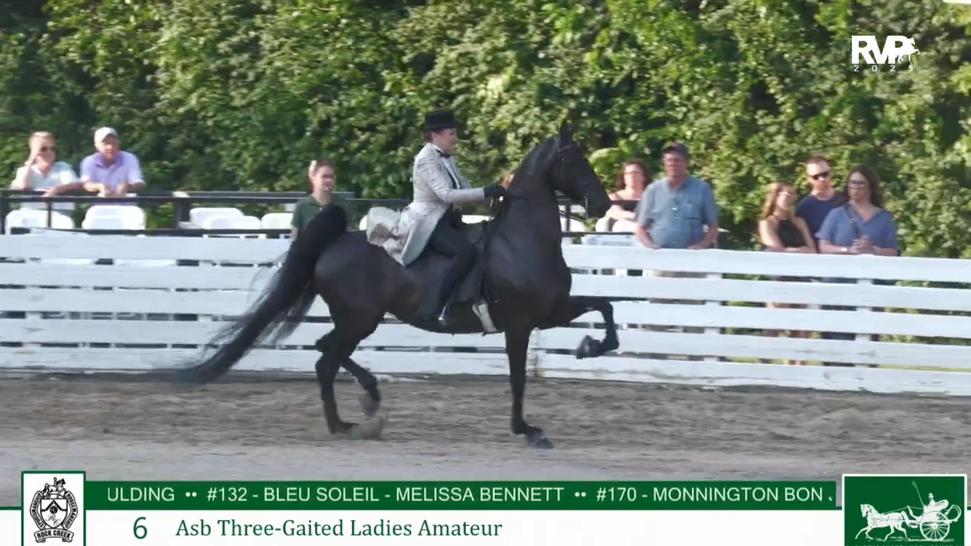 RC25 - Class 6 - ASB Three Gaited Ladies Amateur
