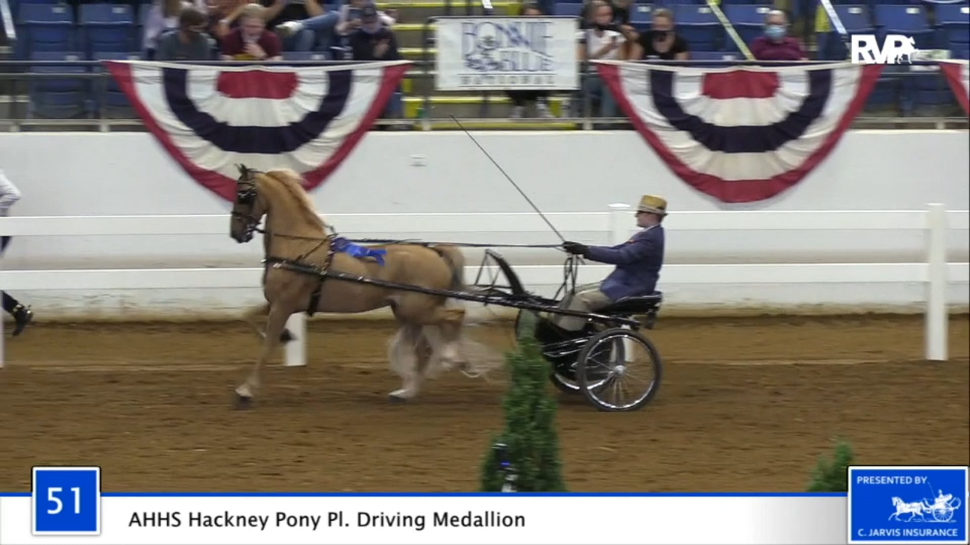 2020 BB - Class 51 AHHS Hackney Pony Pleasure
Driving Medallion 