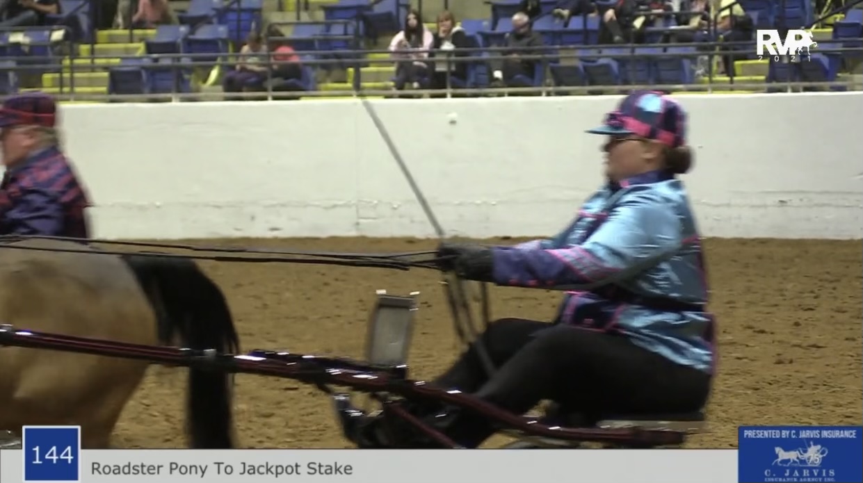 BB21 - Class 144 - Roadster Pony to Bike Stake