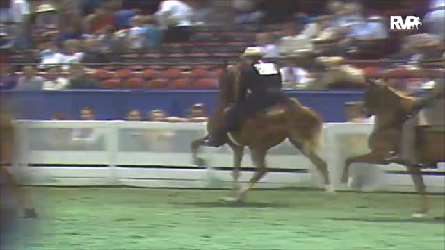1992 WCHS Class 162 Two Year Old Five...