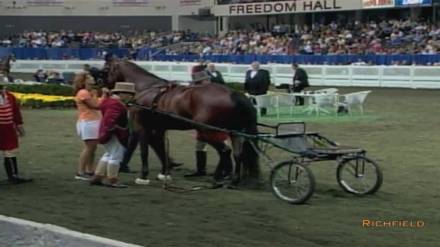 2002 WCHS Class 150 USTA Road Horse C...