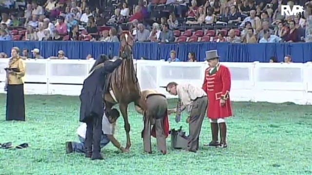 2010 World's Championship Horse Show ...